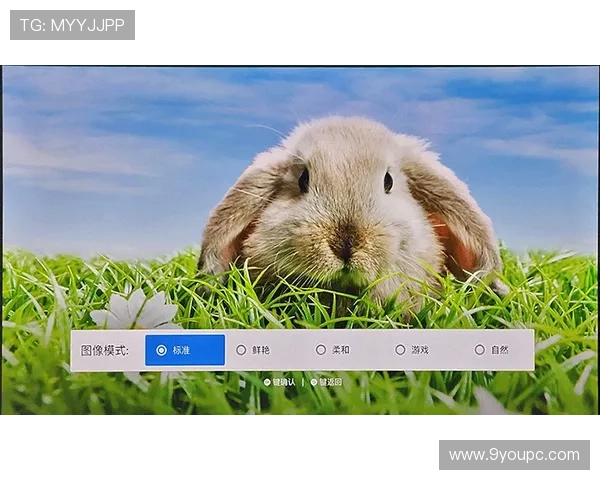 深度解析J9国际站的用户体验，发现为何玩家纷纷选择它