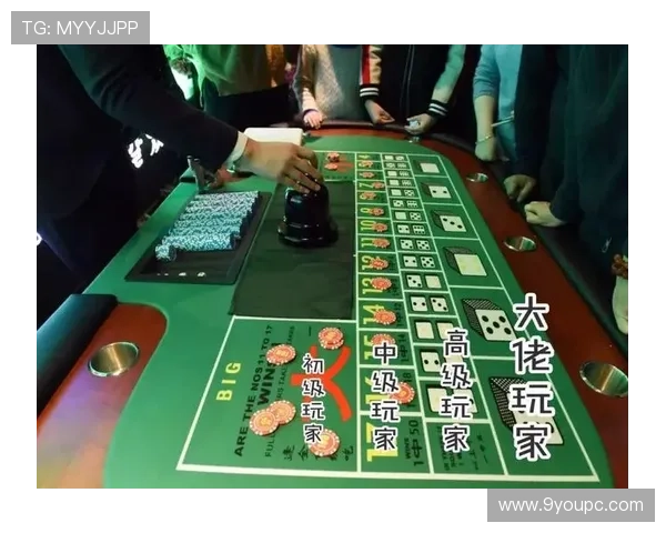 百家乐：全新玩法解析，助您成为百家乐达人，赢取更多奖金